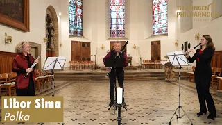 Philharmonischer Jahresausklang: Libor Sima - Polka