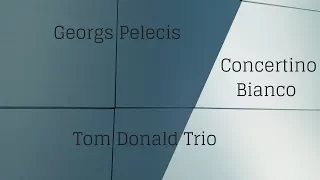 Georgs Pelecis "Concertino Bianco" 2nd Movement by Tom Donald Trio