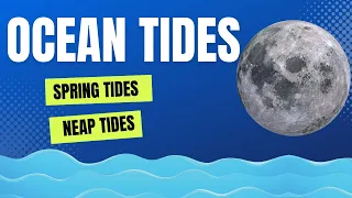 What Causes Ocean Tides? [Low Tide, High Tide, First Tide, Second Tide, Spring Tides, Neap Tides]