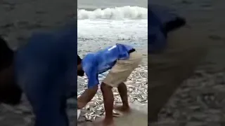 fishes at RK beach in cyclone michaung 5  11 23