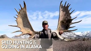 LIFE OF A PACKER IN ALASKA | SHED HUNTING | 2023