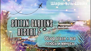 Sultan Gardens Resort 5* 2020 | Обзор нашего отеля в Шарме, все + и - отеля | Тина Андрейчук
