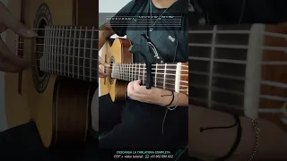 HERMANOS CURI Tu recuerdo en GUITARRA 🎸