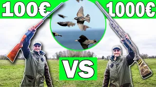 Fusil à 100€ VS 1000€ ! Régulation d'Étourneaux à la Ferme !