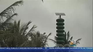 Hawaii's Attack Siren Barely Heard On Popular Tourist Beach