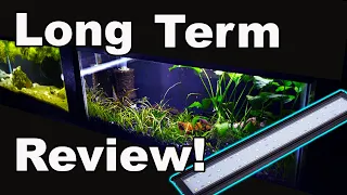 Hygger Aquarium Light Long Term Review: The Good AND The Bad
