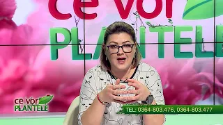 Ce vor plantele Cristina Ghibu partea 1 2023 03 01