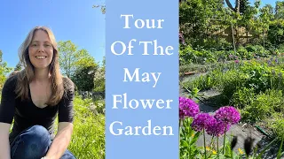 Tour Of The May Flower Garden