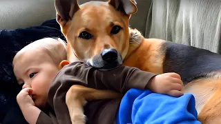 Dog Won't Leave baby Alone When Mother Discovers Why, She Calls The Police