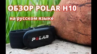 Обзор Polar H10 нагрудный пульсометр - датчик пульса