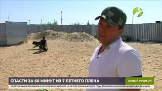 В Новом Уренгое собаку спасли из семилетнего плена