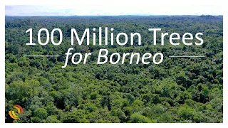 100 Million Trees for Borneo (english)