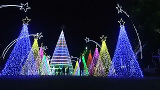 Nigeria: Residents of Abuja relish the fun at new christmas village