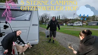 5 Sterne Camping Gitzenweiler Hof Teil2/ kleine Platzvorstellung, Tierische Freunde und Abreise