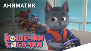 Аниматик 112-й серии мультсериала «КОШЕЧКИ-СОБАЧКИ» | студия «Паровоз»