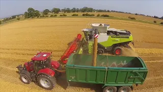 Claas 780 harvesting barley in Northumberland