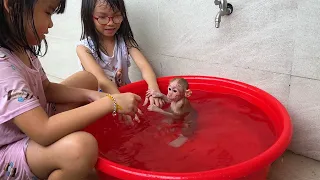 So funny! Monkey Bibi bath!