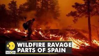 Wildfire flare continue for the fifth day in parts of southern Spain | WION Climate Tracker | World