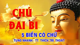 Chú Đại Bi (5 biến trì tụng NHANH có chữ) - TT. Thích Trí Thoát tụng