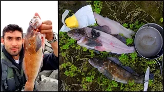 FINAL Day CATCH AND COOK!! Blackberry Butter Fish **SOLO 1,600 Mile Fishing Road Trip**