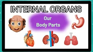 Internal Organs of human body || Internal organs for Class 1 & Class 2 || Our Body Parts CBSE EVS