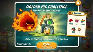 Angry Birds 2 Golden Pig Challenge 6 Rooms (Red Bird)