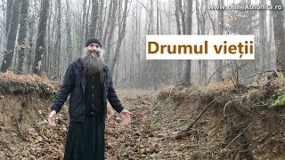 Drumul vieții - p. Pimen Vlad