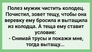 Теща Попросила Зятя Снять Трусы и Показать! Сборник Свежих Смешных Жизненных Анекдотов!