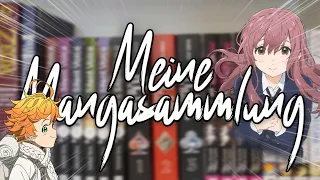 Meine komplette Mangasammlung!