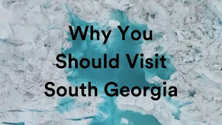 Why visit South Georgia?