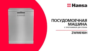 Посудомоечная машина Hansa ZWM616IH