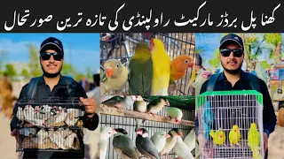 Sunday Birds market Rawalpindi || Police ny aj mandi khtm krwa di ||Brids price update #viralvideos