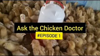 Ask the Chicken Doctor | Episode 1 (2021)