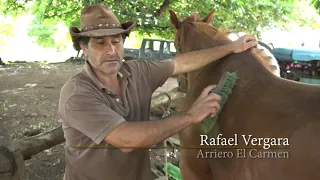 ARRIEROS, DOCUMENTAL COMUNA DE EL CARMEN, 2016