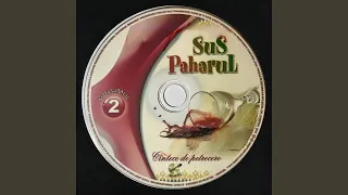 Sus paharul, Vol. 2 (Cântece De Petrecere / Partea 4)