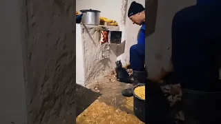 cat jump into fire stove