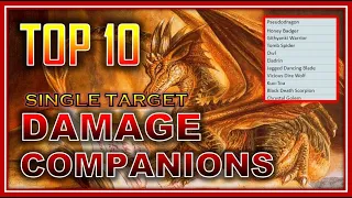 NEW Top 10 ST Damage Companions! R.I.P Xuna, CIW & BIP - Neverwinter Preview