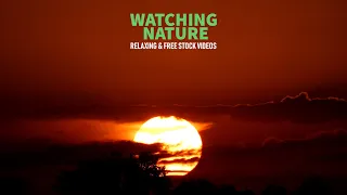 Red sunset timelapse | Relaxing Nature 4K Royalty Free Stock Footage | Sky