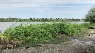 Отчет по рыбалке за 7 августа/ Днестр /Маяки