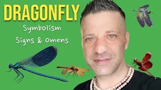 IF YOU SEE A DRAGONFLY OR IF A DRAGONFLY LANDS ON YOU | Symbolism | Signs & Omens