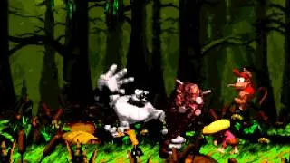 [TAS] [Obsoleted] SNES Donkey Kong Country 2: Diddy's Kong Quest "102%" by Dooty, NxCy & Comicalf...