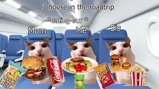 CAT MEMES Roadtrip Compilation