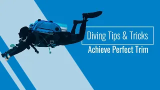 Diving Tips & Tricks: Perfecting your Trim