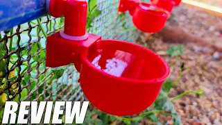 RentACoop Automatic Chicken Water Cup Waterer Kit for Poultry Review