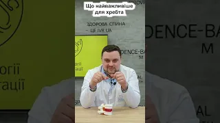 Що найважливіше для хребта