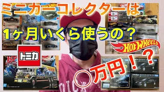 ミニカーコレクターは1ヶ月いくら使うの？1ヶ月の支出公開！