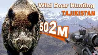 Wild Boar Hunting in Tadjikistan (1/2) // Chasse au sanglier au Tadjikistan (1/2) // 2022
