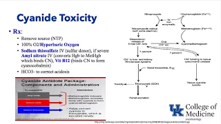 University of Kentucky Anesthesiology General Clinical #1 Keyword Review - Dr. Schell