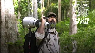 The life of ram X the journey 🌿song efx🖤 whatsapp status 🧭#vijaysethupathi #thelifeofram