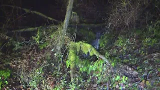 Heavy rain, snowmelt spark landslide danger across the region